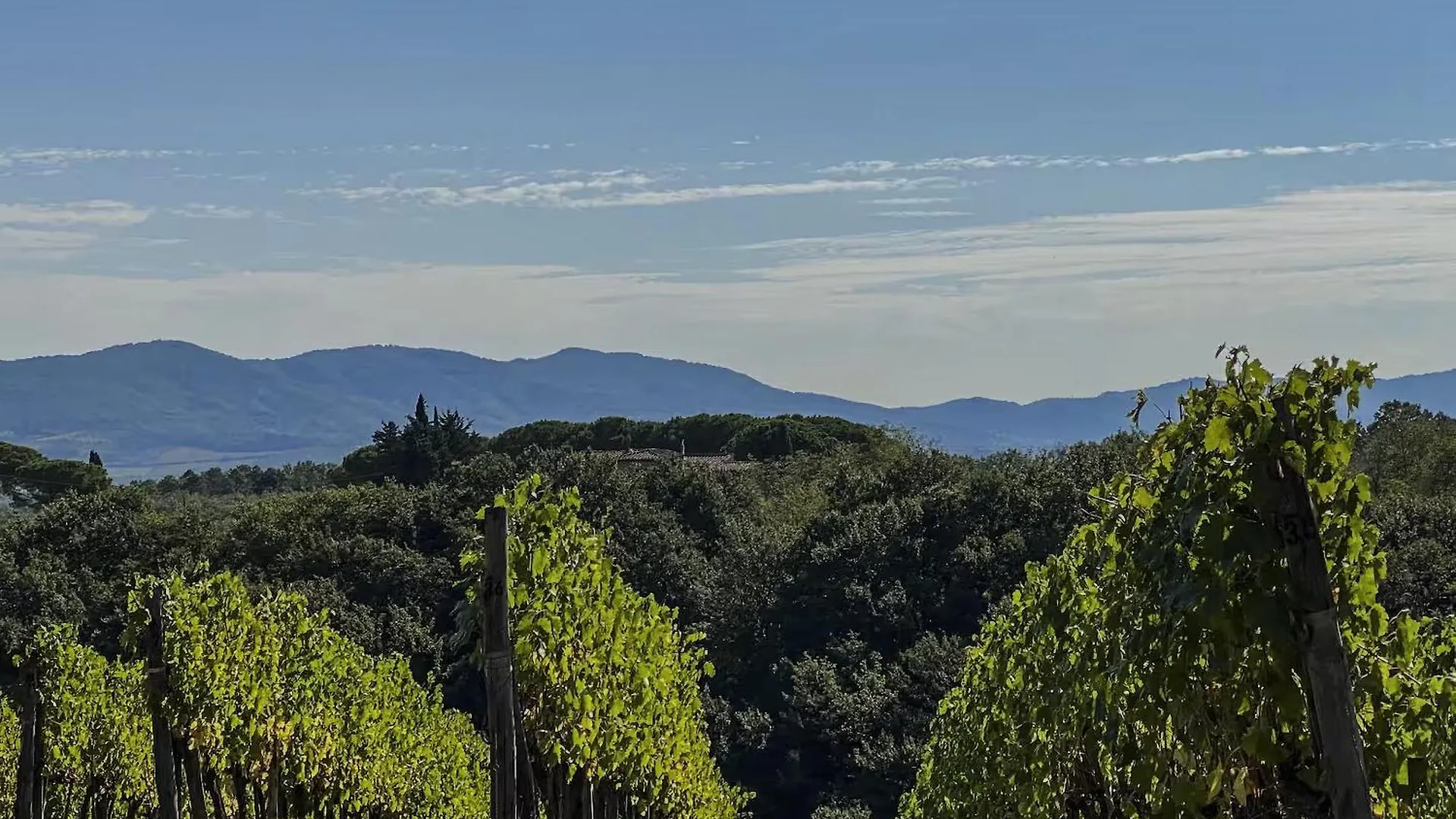 Suite La Sorgente At Villa Santa Lucia Nuova San Casciano in Val di Pesa